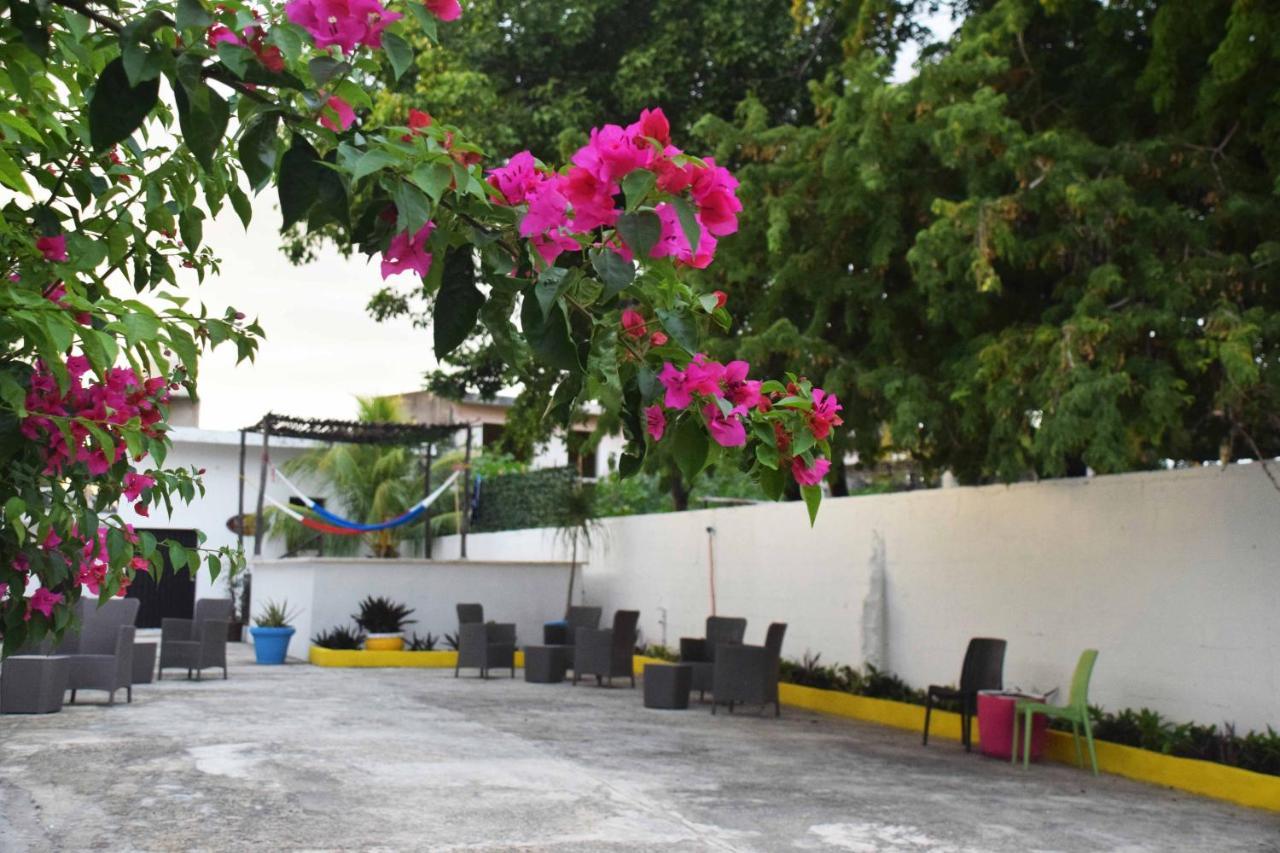 Hostal Casa Bohemia Mérida Exteriér fotografie